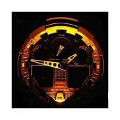 CA-GA1001A1ER CA-GA1001A1ER