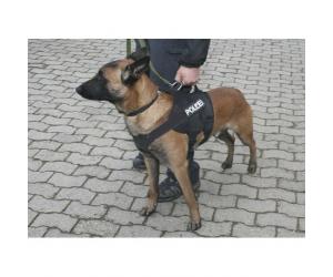 Služební a výcvikový postroj COP K9 pro služebního psa Služební a výcvikový postroj COP K9 pro služebního psa